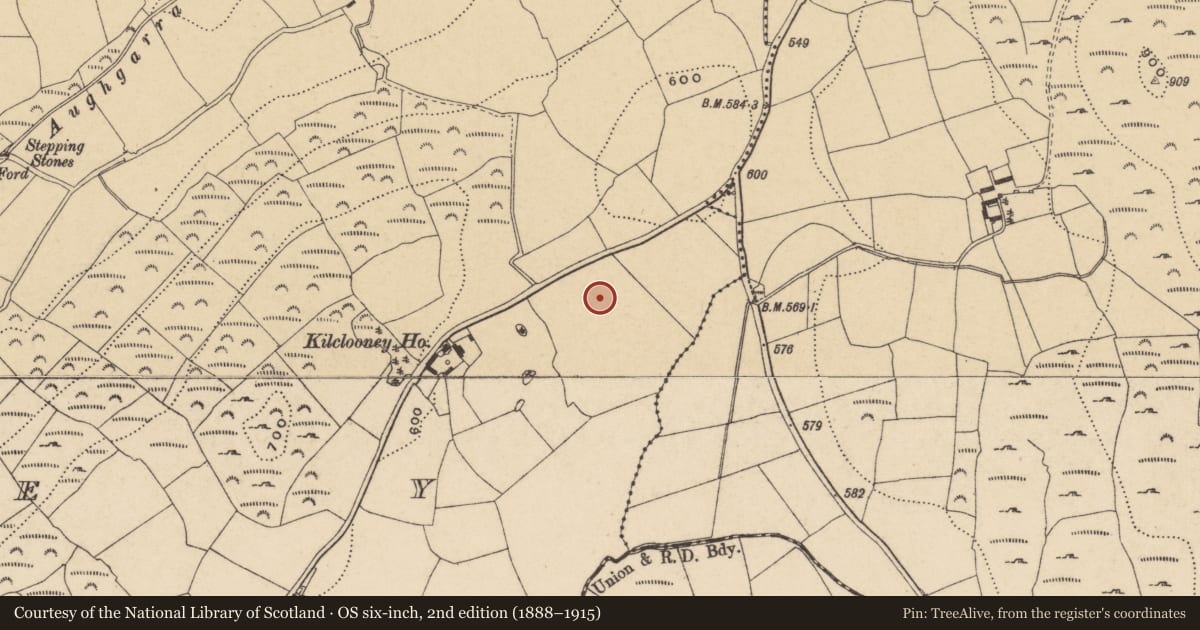 Ordnance Survey six-inch map, 2nd edition (1888–1915) covering the location of Standing stone, Kilclooney, County Waterford, with a pin at the register's coordinates