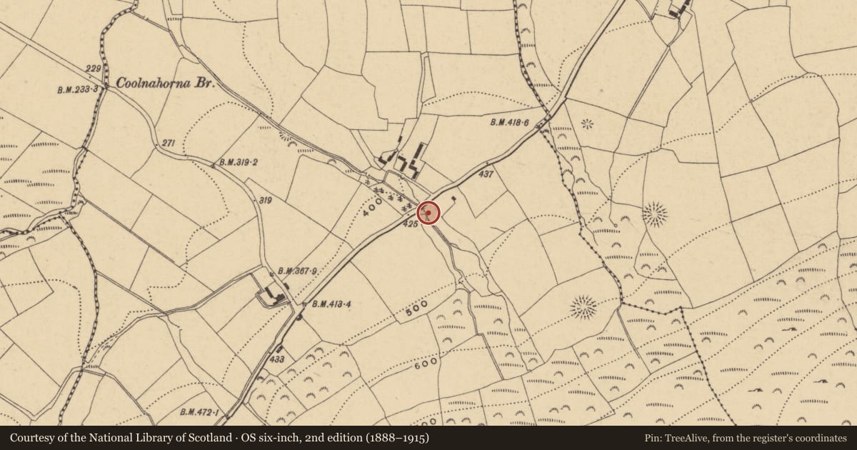 Ordnance Survey six-inch map, 2nd edition (1888–1915) covering the location of Mine, Knockaturnory, County Waterford, with a pin at the register's coordinates