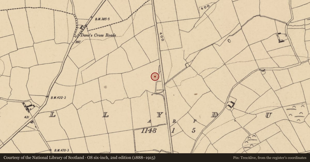 Ordnance Survey six-inch map, 2nd edition (1888–1915) covering the location of Standing stone, Ballydurn, County Waterford, with a pin at the register's coordinates