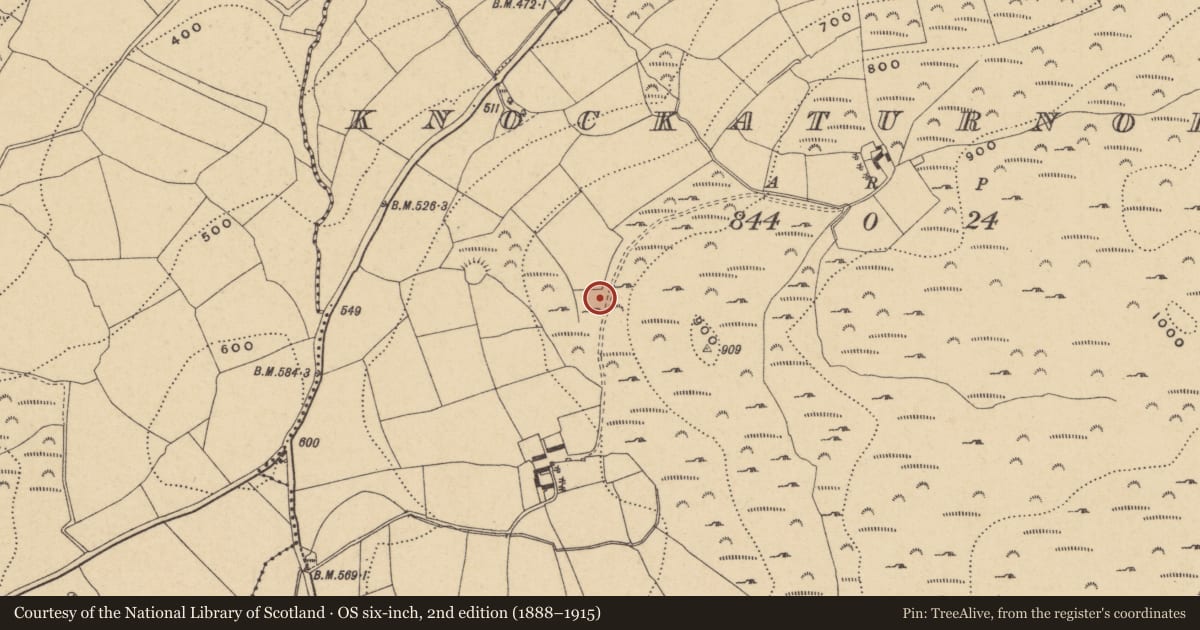 Ordnance Survey six-inch map, 2nd edition (1888–1915) covering the location of Stone row, Knockaturnory, County Waterford, with a pin at the register's coordinates