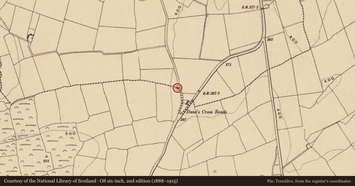 Ordnance Survey six-inch map, 2nd edition (1888–1915) covering the location of Bullaun stone (present location), Ballydurn, County Waterford, with a pin at the register's coordinates