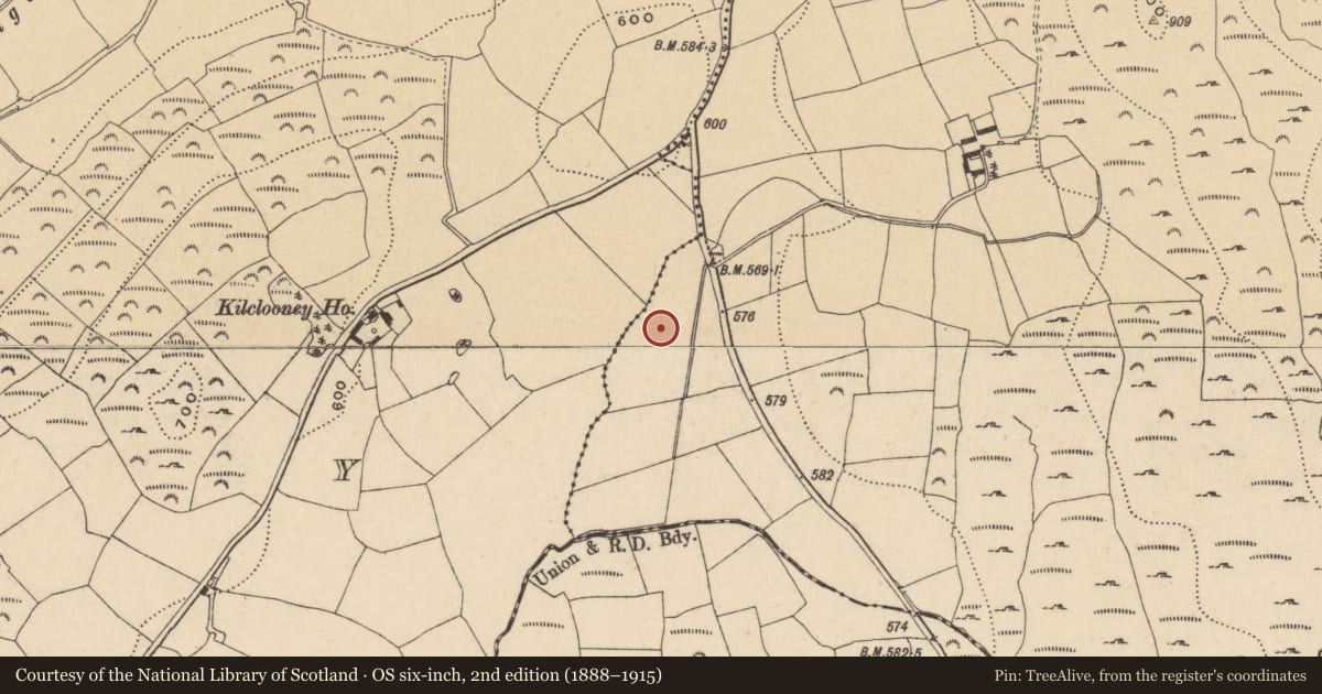 Ordnance Survey six-inch map, 2nd edition (1888–1915) covering the location of Fulacht fia, Knockaturnory, County Waterford, with a pin at the register's coordinates