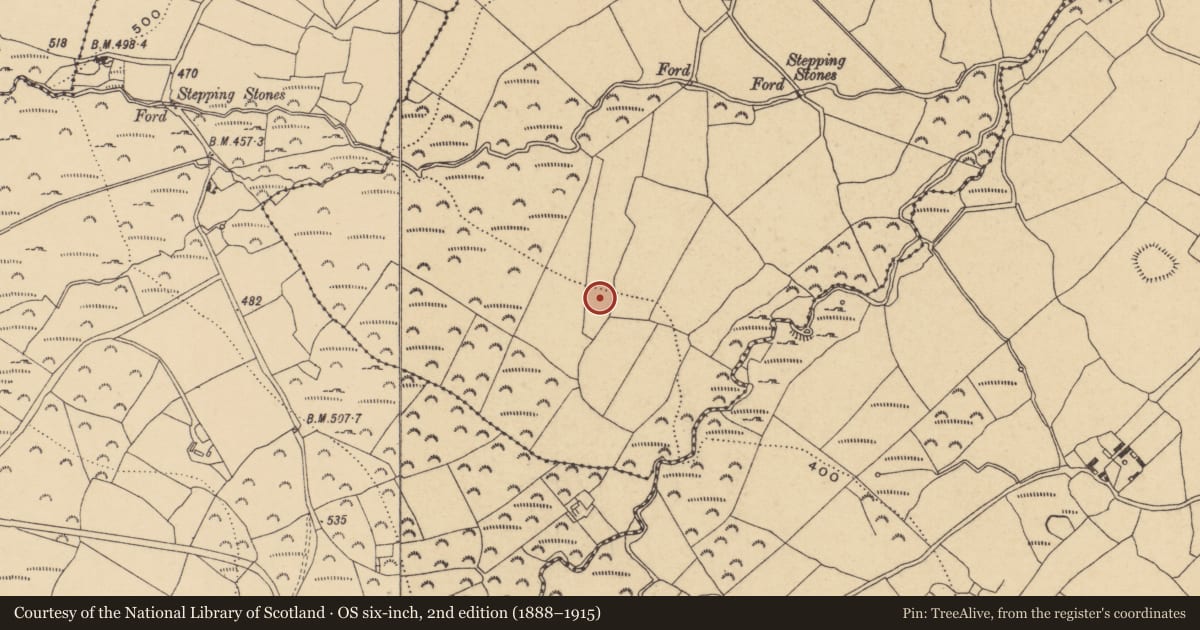 Ordnance Survey six-inch map, 2nd edition (1888–1915) covering the location of Fulacht fia, Boolabeg, County Waterford, with a pin at the register's coordinates