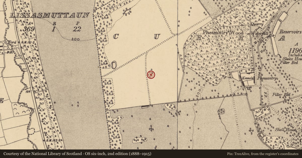 Ordnance Survey six-inch map, 2nd edition (1888–1915) covering the location of Designed landscape - tree-ring, Curraghmore, County Waterford, with a pin at the register's coordinates