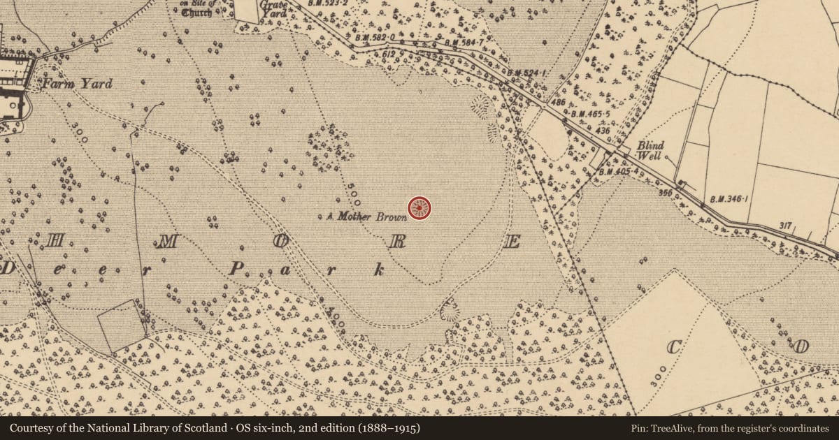 Ordnance Survey six-inch map, 2nd edition (1888–1915) covering the location of Ringfort - rath, Curraghmore, County Waterford, with a pin at the register's coordinates