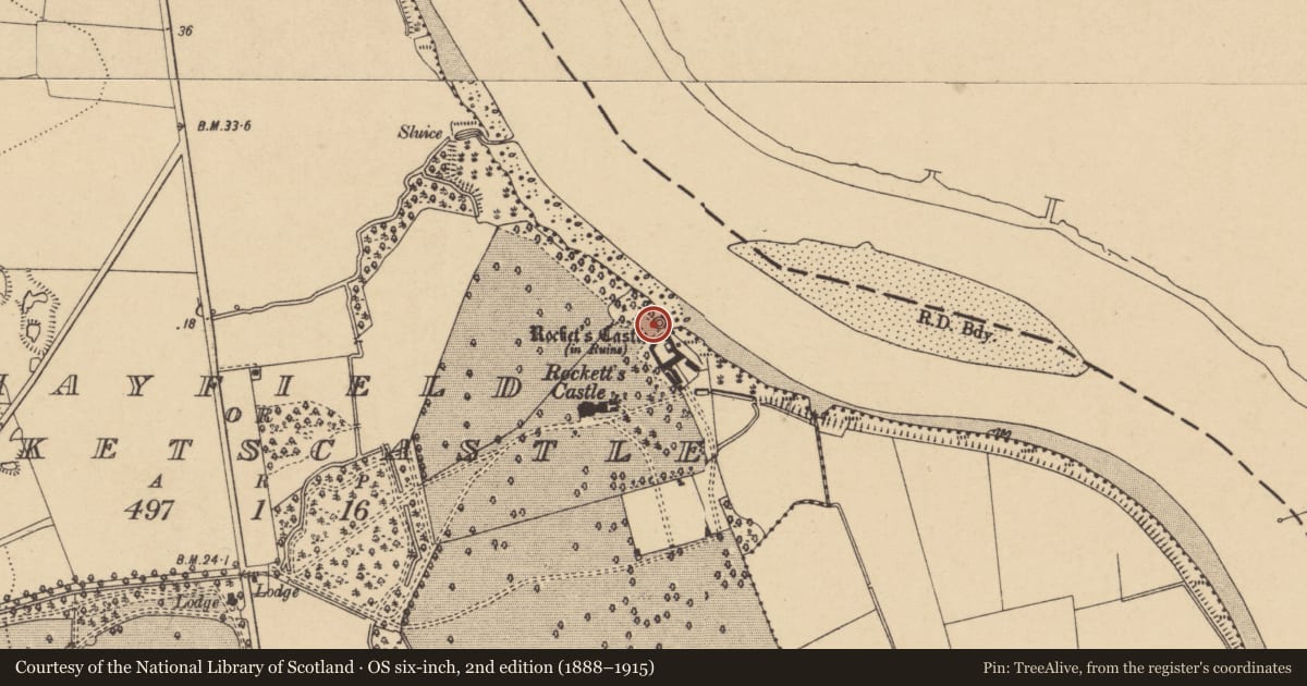 Ordnance Survey six-inch map, 2nd edition (1888–1915) covering the location of Castle - tower house, Mayfield Or Rocketscastle, County Waterford, with a pin at the register's coordinates