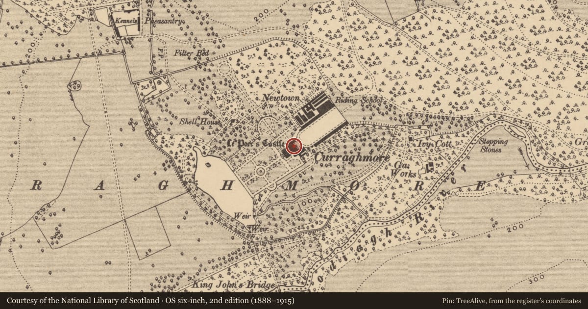 Ordnance Survey six-inch map, 2nd edition (1888–1915) covering the location of Castle - tower house, Curraghmore, County Waterford, with a pin at the register's coordinates