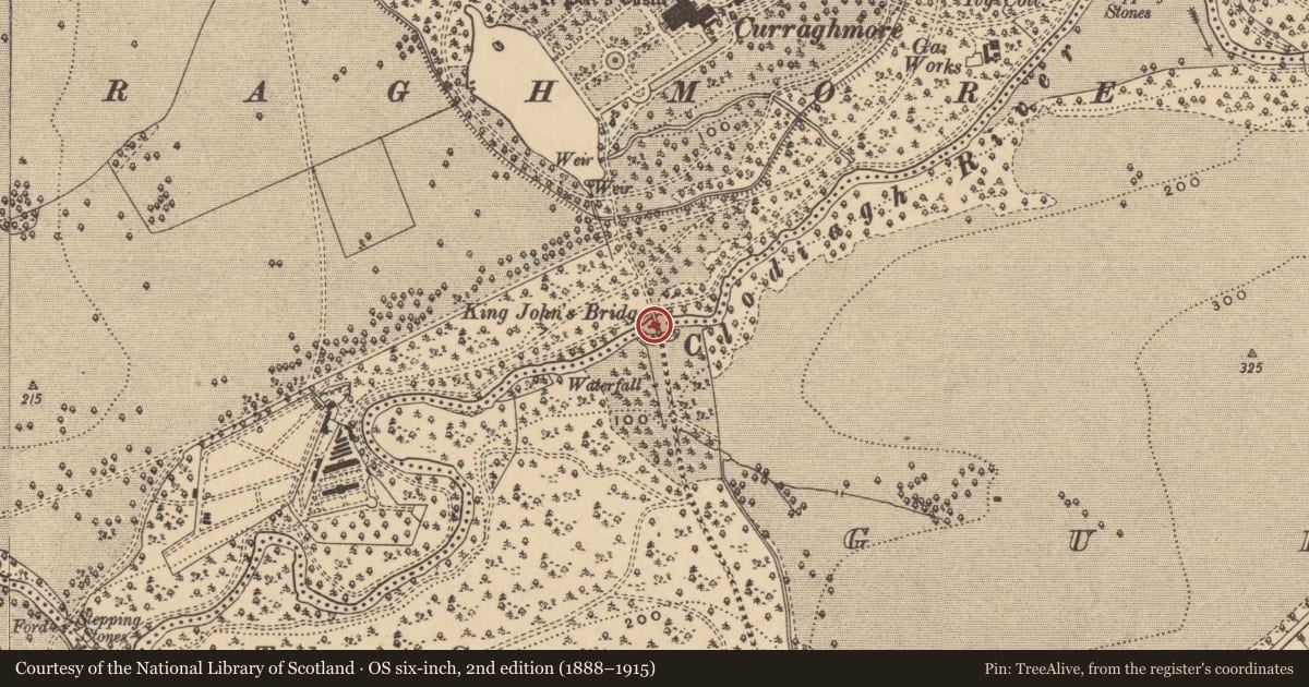 Ordnance Survey six-inch map, 2nd edition (1888–1915) covering the location of Bridge, Curraghmore, County Waterford, with a pin at the register's coordinates