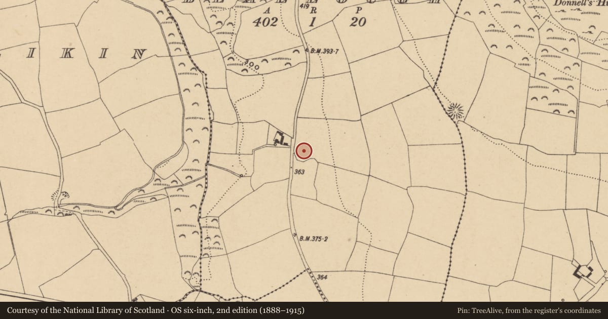 Ordnance Survey six-inch map, 2nd edition (1888–1915) covering the location of Enclosure, Beallough, County Waterford, with a pin at the register's coordinates
