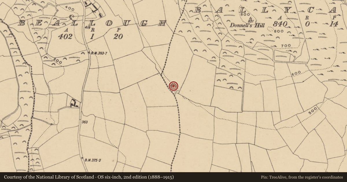 Ordnance Survey six-inch map, 2nd edition (1888–1915) covering the location of Enclosure, Ballycahane, County Waterford, with a pin at the register's coordinates