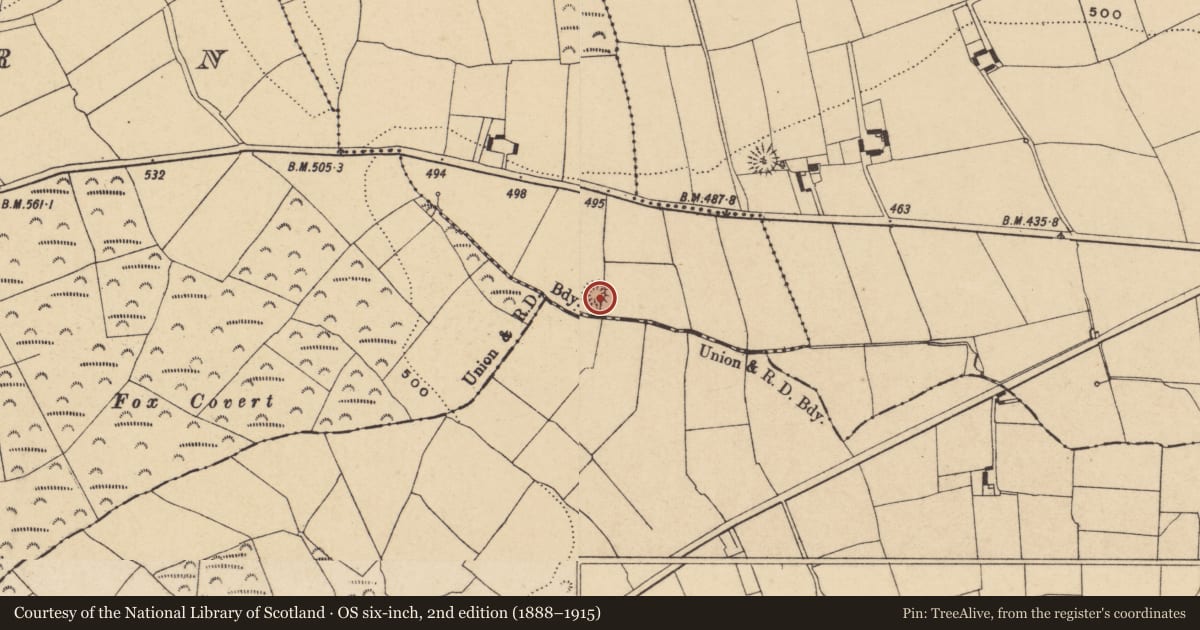 Ordnance Survey six-inch map, 2nd edition (1888–1915) covering the location of Ringfort - rath, Curraghataggart, County Waterford, with a pin at the register's coordinates