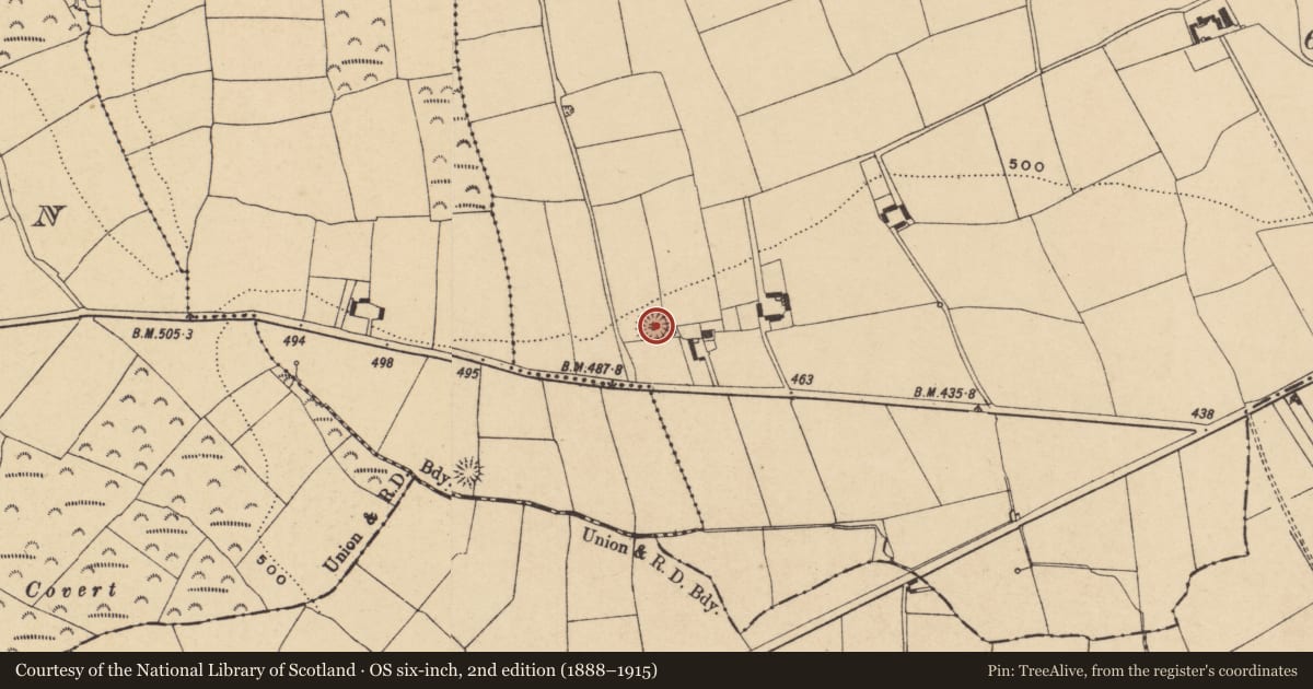 Ordnance Survey six-inch map, 2nd edition (1888–1915) covering the location of Ringfort - unclassified, Kilmovee, County Waterford, with a pin at the register's coordinates