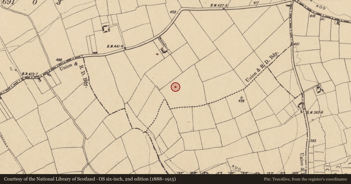 Ordnance Survey six-inch map, 2nd edition (1888–1915) covering the location of Ringfort - unclassified, Kilmovee, County Waterford, with a pin at the register's coordinates