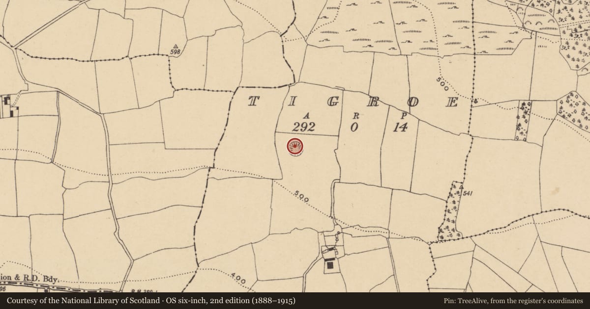 Ordnance Survey six-inch map, 2nd edition (1888–1915) covering the location of Souterrain, Tigroe, County Waterford, with a pin at the register's coordinates
