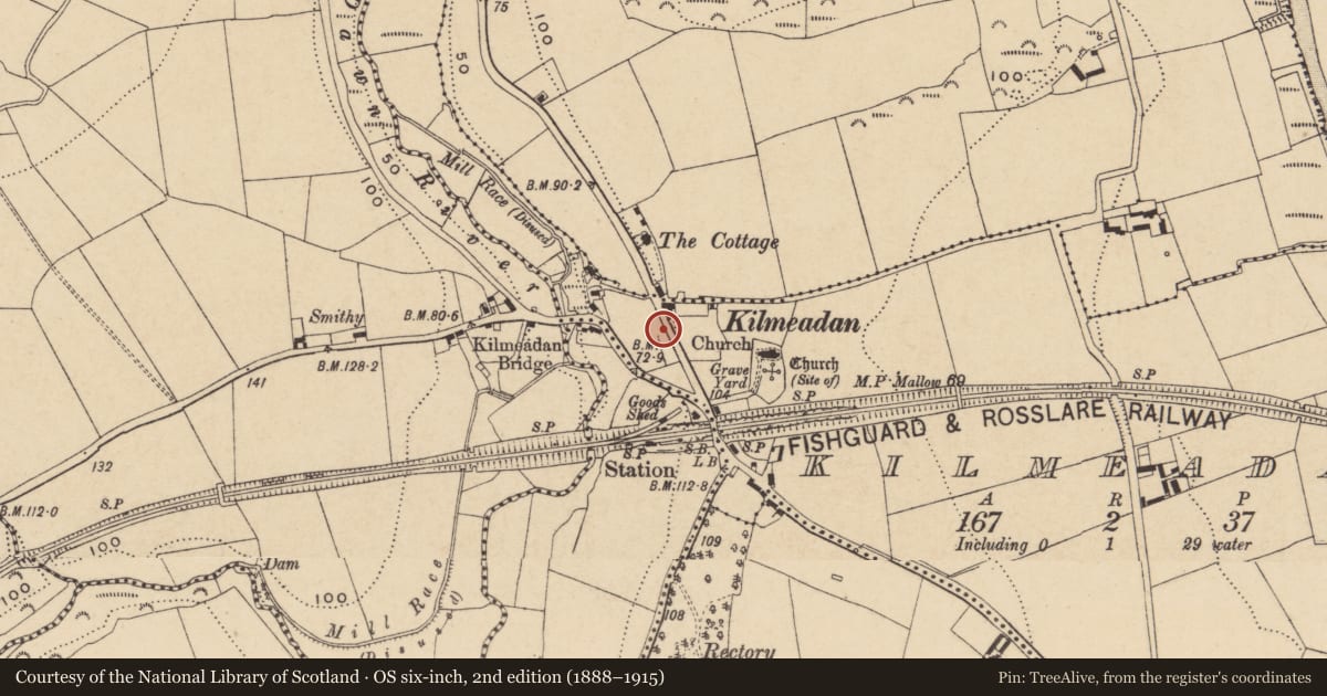 Ordnance Survey six-inch map, 2nd edition (1888–1915) covering the location of Settlement deserted - medieval, Kilmeadan, County Waterford, with a pin at the register's coordinates