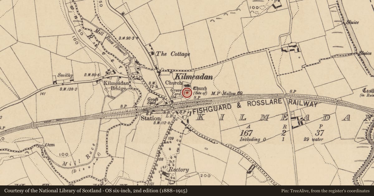 Ordnance Survey six-inch map, 2nd edition (1888–1915) covering the location of Graveyard, Kilmeadan, County Waterford, with a pin at the register's coordinates