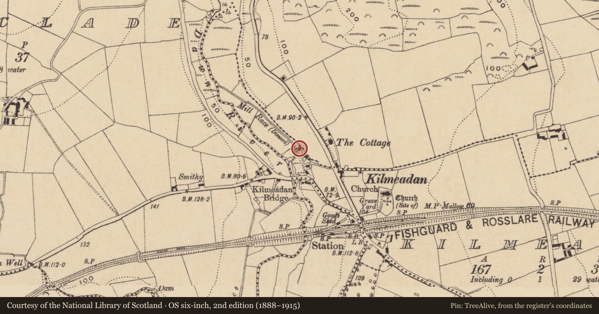 Ordnance Survey six-inch map, 2nd edition (1888–1915) covering the location of Mill - unclassified, Kilmeadan, County Waterford, with a pin at the register's coordinates