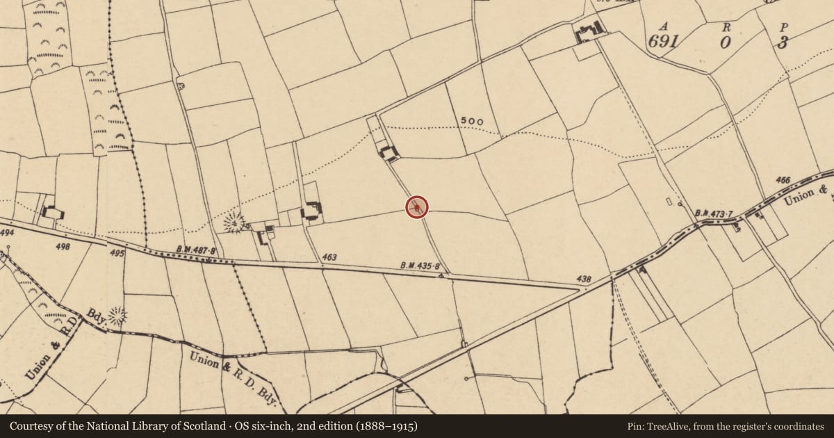 Ordnance Survey six-inch map, 2nd edition (1888–1915) covering the location of Ritual site - holy well, Kilmovee, County Waterford, with a pin at the register's coordinates