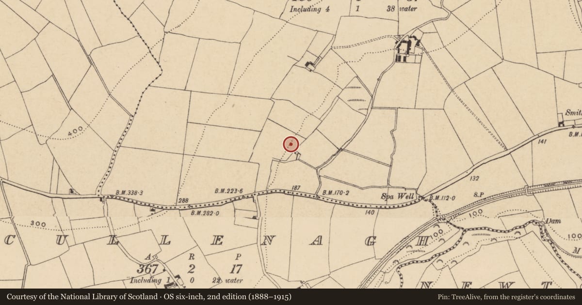 Ordnance Survey six-inch map, 2nd edition (1888–1915) covering the location of Bullaun stone, Gortaclade, County Waterford, with a pin at the register's coordinates