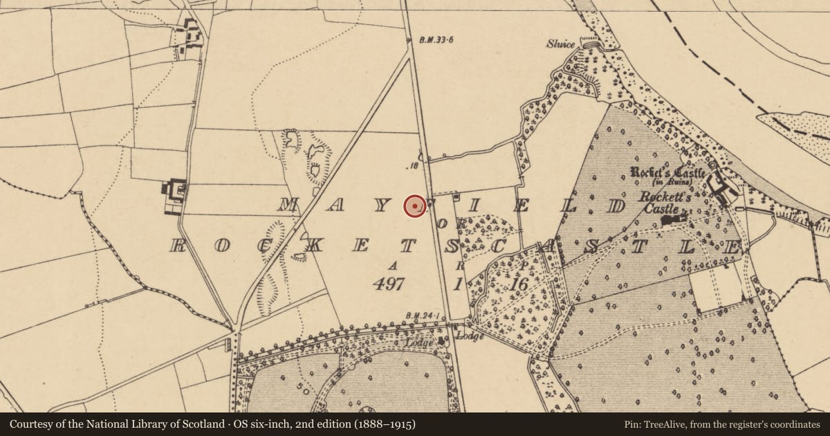 Ordnance Survey six-inch map, 2nd edition (1888–1915) covering the location of Excavation - miscellaneous, Mayfield Or Rocketscastle, County Waterford, with a pin at the register's coordinates