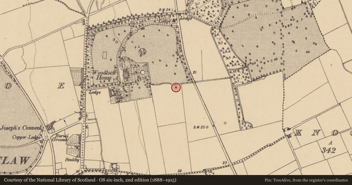 Ordnance Survey six-inch map, 2nd edition (1888–1915) covering the location of Burnt mound, Mayfield Or Rocketscastle, County Waterford, with a pin at the register's coordinates
