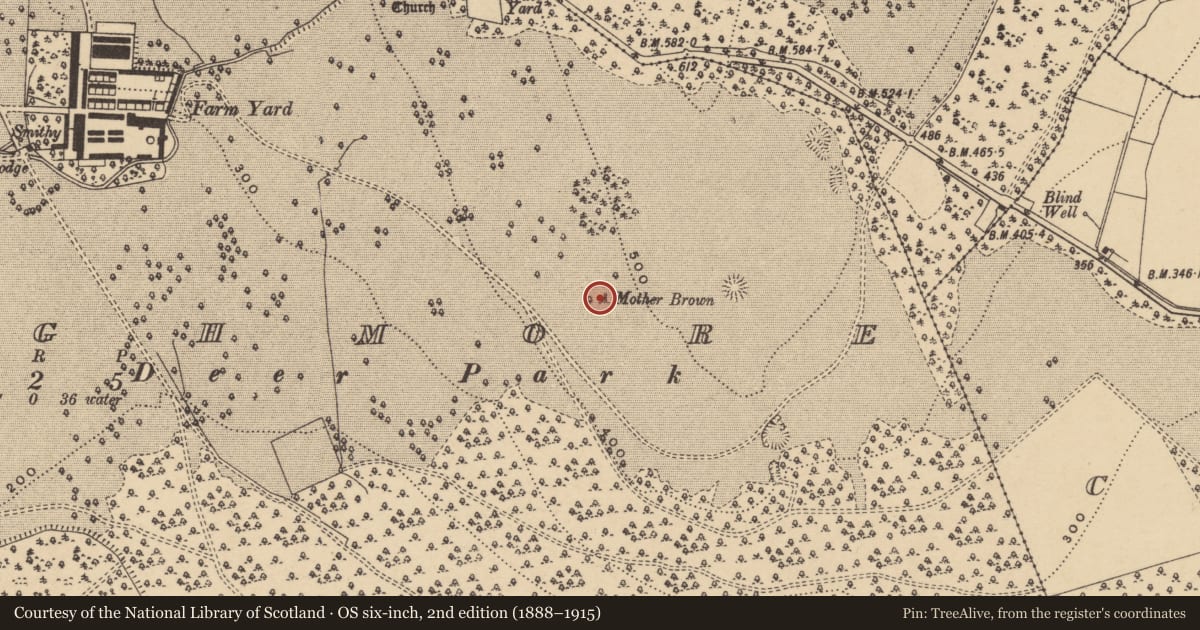 Ordnance Survey six-inch map, 2nd edition (1888–1915) covering the location of Stone sculpture - iconic, Curraghmore, County Waterford, with a pin at the register's coordinates