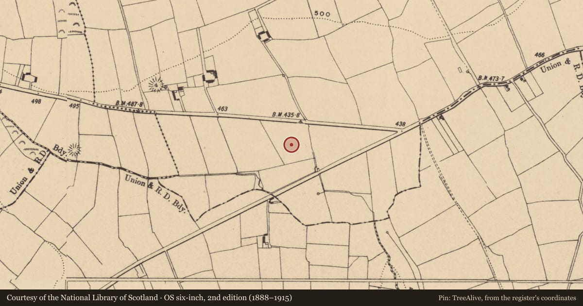 Ordnance Survey six-inch map, 2nd edition (1888–1915) covering the location of Standing stone, Kilmovee, County Waterford, with a pin at the register's coordinates