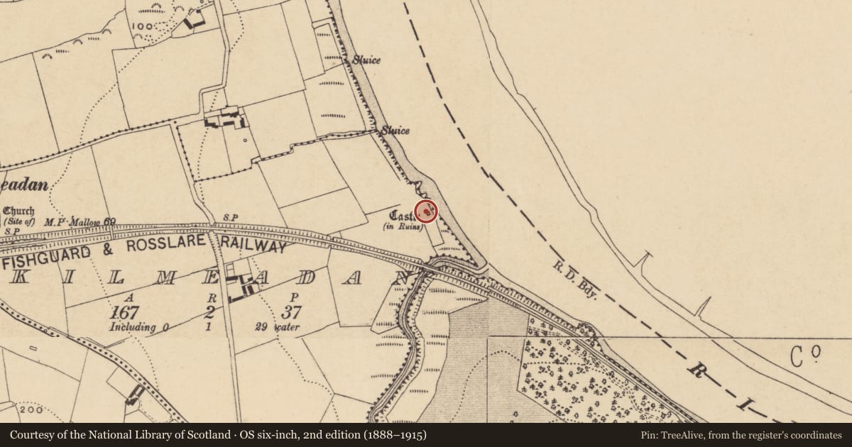 Ordnance Survey six-inch map, 2nd edition (1888–1915) covering the location of Castle - unclassified, Kilmeadan, County Waterford, with a pin at the register's coordinates