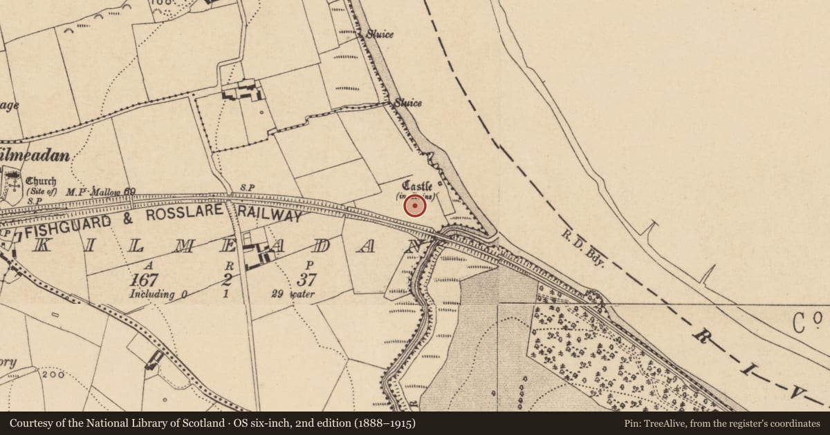 Ordnance Survey six-inch map, 2nd edition (1888–1915) covering the location of Earthwork, Kilmeadan, County Waterford, with a pin at the register's coordinates