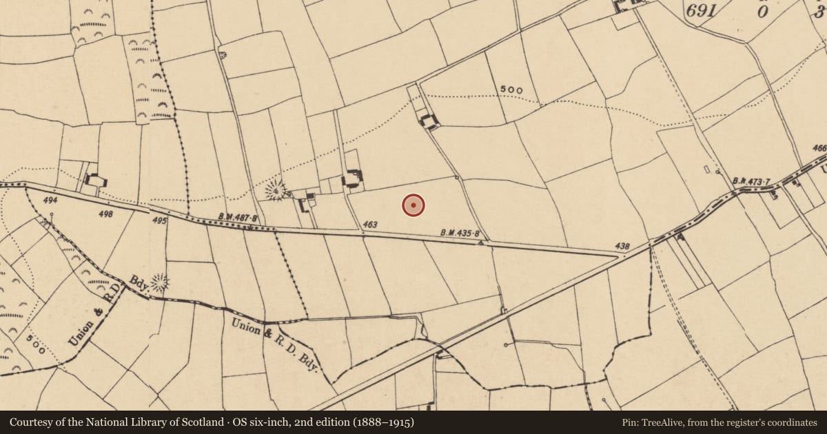 Ordnance Survey six-inch map, 2nd edition (1888–1915) covering the location of Standing stone, Kilmovee, County Waterford, with a pin at the register's coordinates