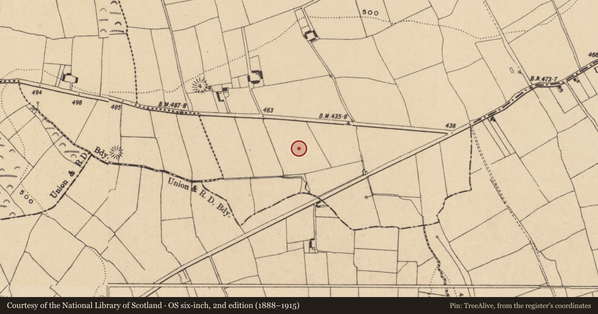 Ordnance Survey six-inch map, 2nd edition (1888–1915) covering the location of Standing stone, Kilmovee, County Waterford, with a pin at the register's coordinates