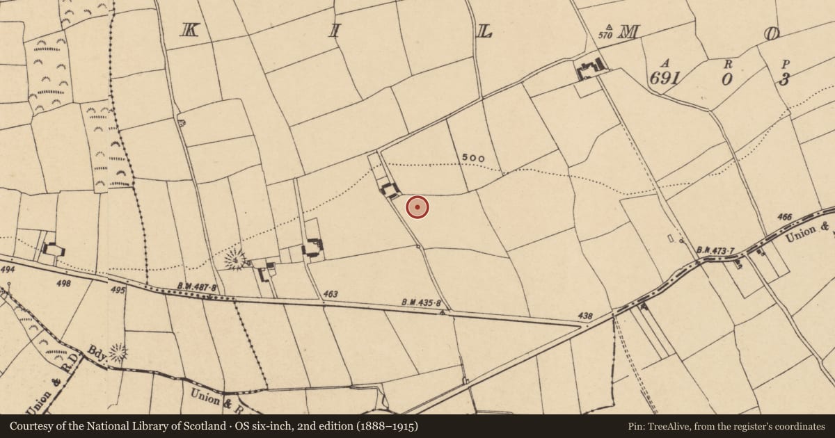 Ordnance Survey six-inch map, 2nd edition (1888–1915) covering the location of Kiln, Kilmovee, County Waterford, with a pin at the register's coordinates