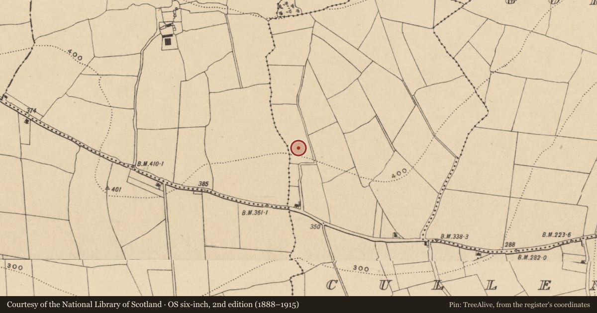 Ordnance Survey six-inch map, 2nd edition (1888–1915) covering the location of Kiln - corn-drying, Cullenagh, County Waterford, with a pin at the register's coordinates