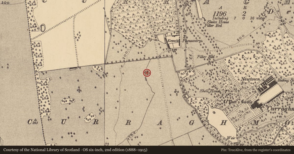 Ordnance Survey six-inch map, 2nd edition (1888–1915) covering the location of Designed landscape - tree-ring, Curraghmore, County Waterford, with a pin at the register's coordinates