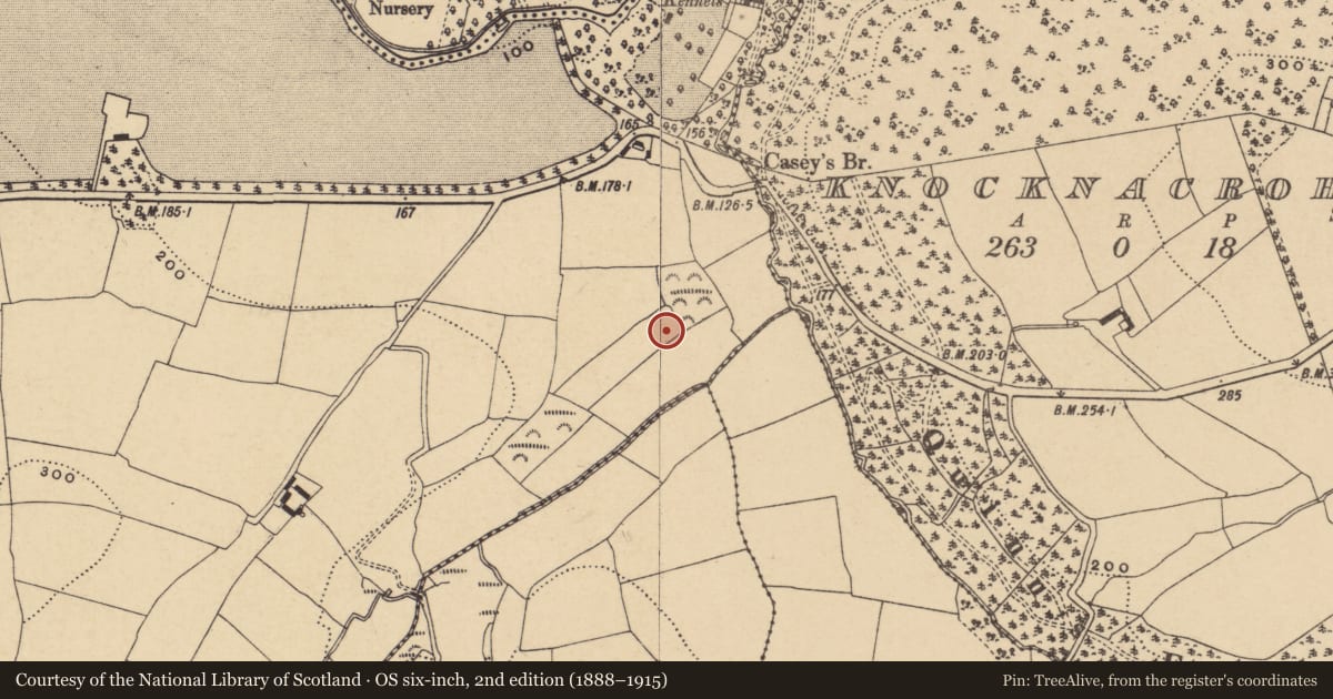 Ordnance Survey six-inch map, 2nd edition (1888–1915) covering the location of Ring-ditch, Whitestown East, County Waterford, with a pin at the register's coordinates