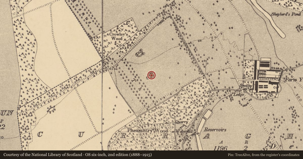 Ordnance Survey six-inch map, 2nd edition (1888–1915) covering the location of Designed landscape - tree-ring, Curraghmore, County Waterford, with a pin at the register's coordinates