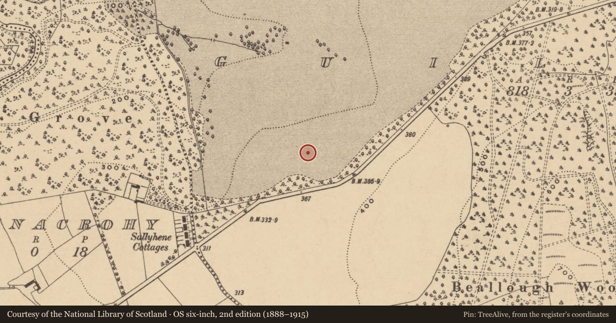 Ordnance Survey six-inch map, 2nd edition (1888–1915) covering the location of Enclosure, Guilcagh, County Waterford, with a pin at the register's coordinates