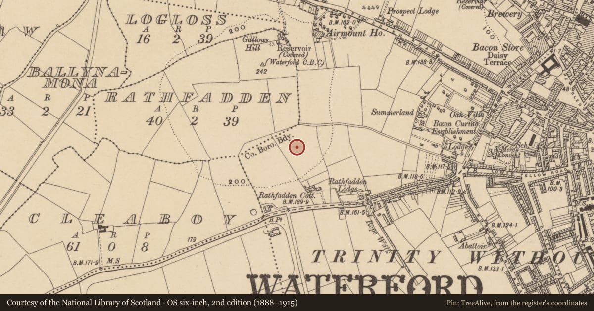 Ordnance Survey six-inch map, 2nd edition (1888–1915) covering the location of Mound, Rathfaddan, County Waterford, with a pin at the register's coordinates