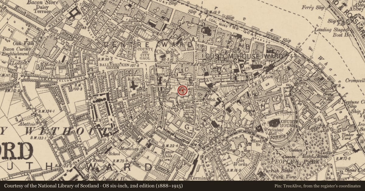 Ordnance Survey six-inch map, 2nd edition (1888–1915) covering the location of Historic town, Waterford City, Trinity Without, County Waterford, with a pin at the register's coordinates