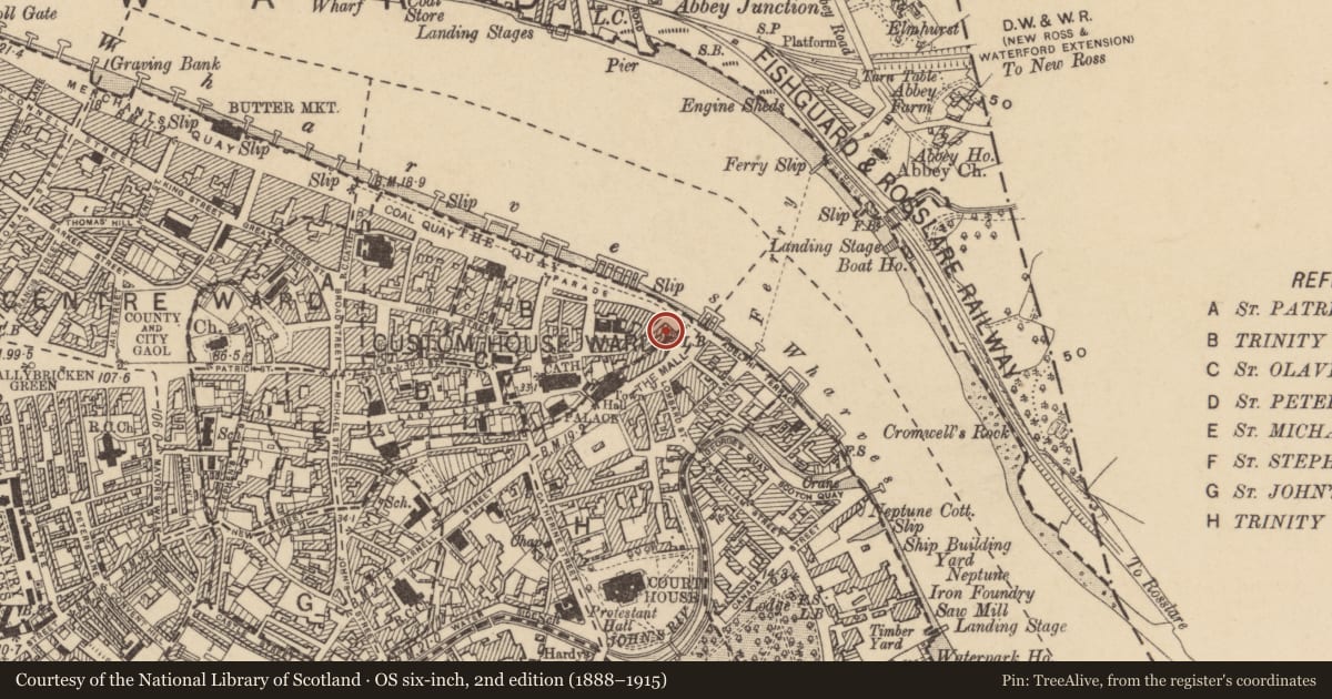 Ordnance Survey six-inch map, 2nd edition (1888–1915) covering the location of Castle - Anglo-Norman masonry castle, Waterford City, County Waterford, with a pin at the register's coordinates