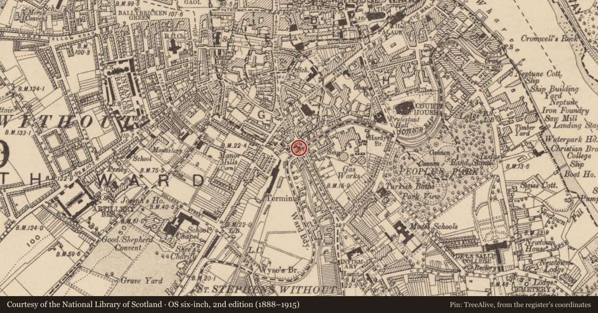 Ordnance Survey six-inch map, 2nd edition (1888–1915) covering the location of Bridge, Waterford City, County Waterford, with a pin at the register's coordinates