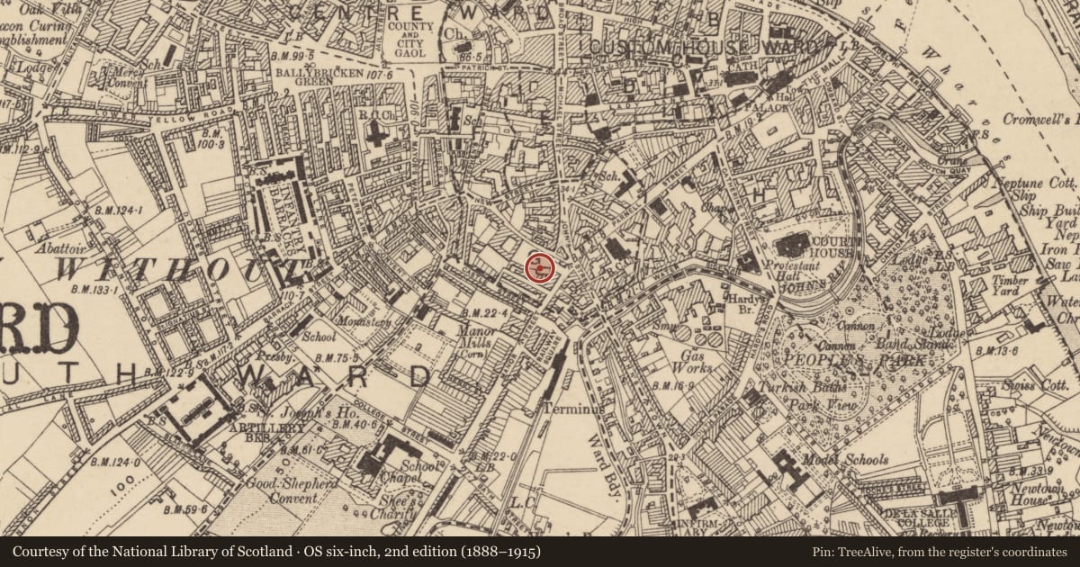 Ordnance Survey six-inch map, 2nd edition (1888–1915) covering the location of Religious house - Benedictine monks, Waterford City, County Waterford, with a pin at the register's coordinates