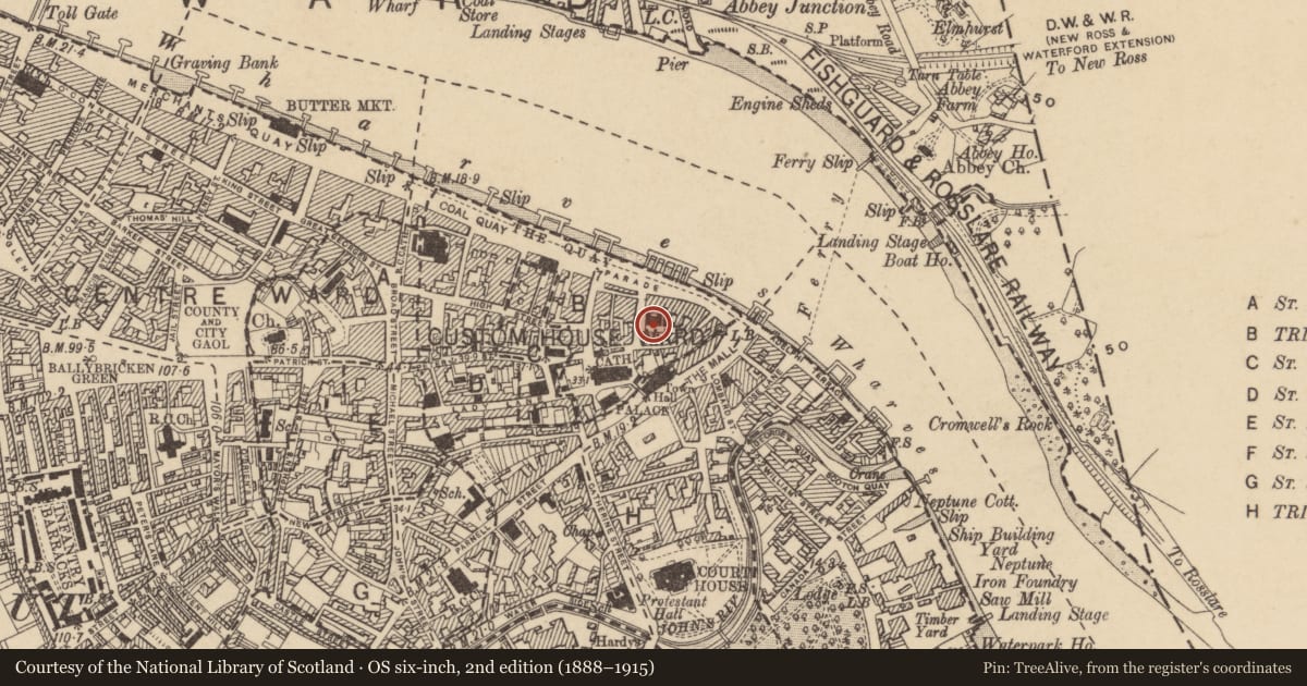 Ordnance Survey six-inch map, 2nd edition (1888–1915) covering the location of Religious house - Franciscan friars, Waterford City, County Waterford, with a pin at the register's coordinates