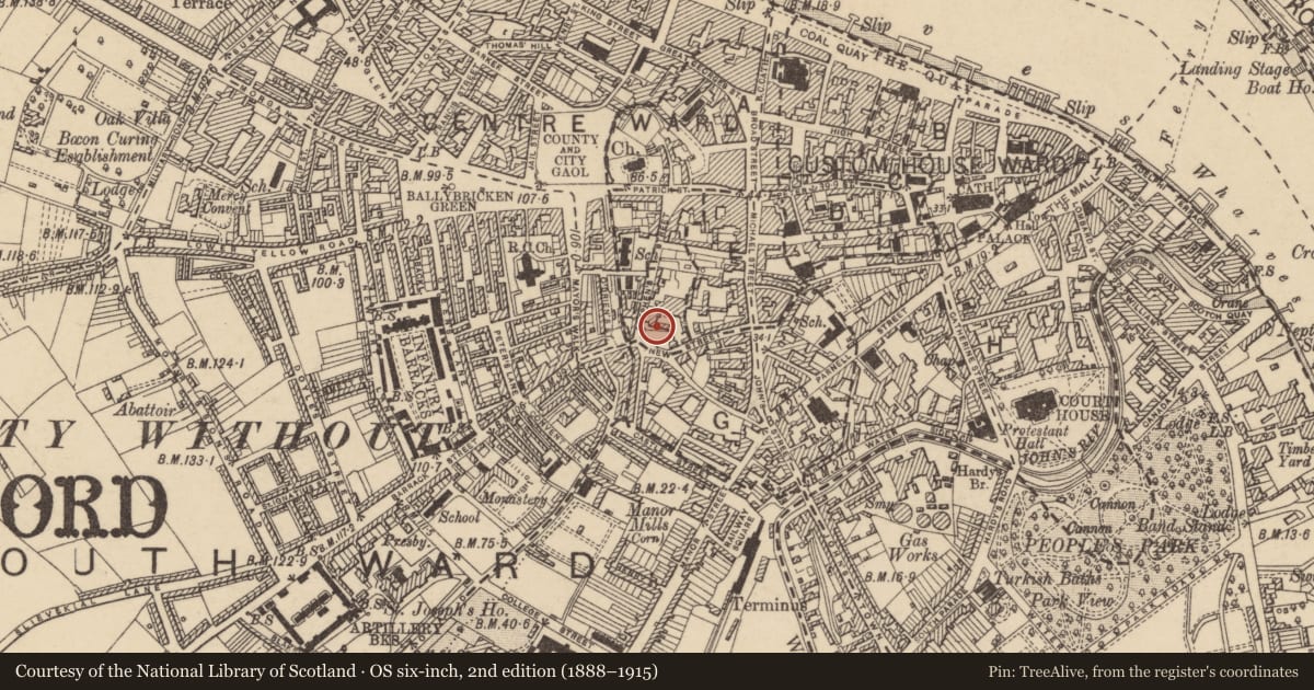 Ordnance Survey six-inch map, 2nd edition (1888–1915) covering the location of Leper hospital, Waterford City, County Waterford, with a pin at the register's coordinates