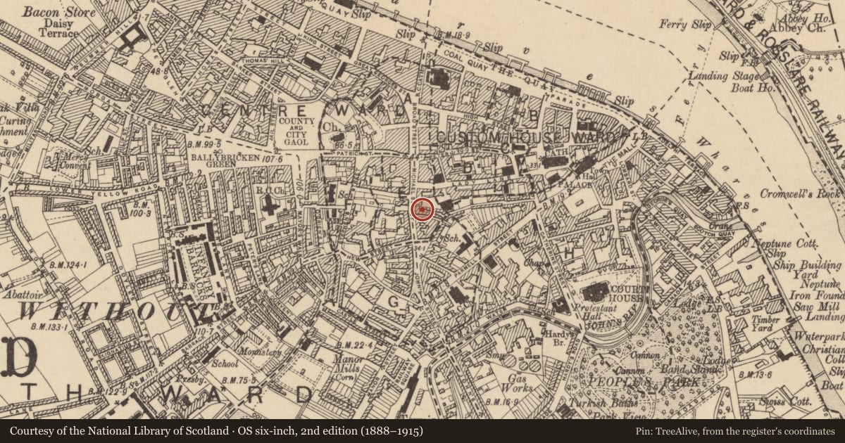 Ordnance Survey six-inch map, 2nd edition (1888–1915) covering the location of House - 16th/17th century, Waterford City, County Waterford, with a pin at the register's coordinates
