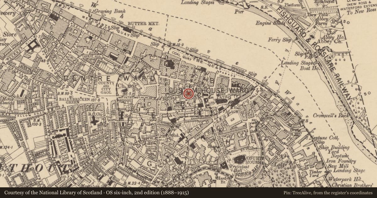 Ordnance Survey six-inch map, 2nd edition (1888–1915) covering the location of House - medieval, Waterford City, County Waterford, with a pin at the register's coordinates