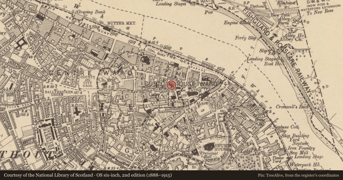 Ordnance Survey six-inch map, 2nd edition (1888–1915) covering the location of House - medieval, Waterford City, County Waterford, with a pin at the register's coordinates
