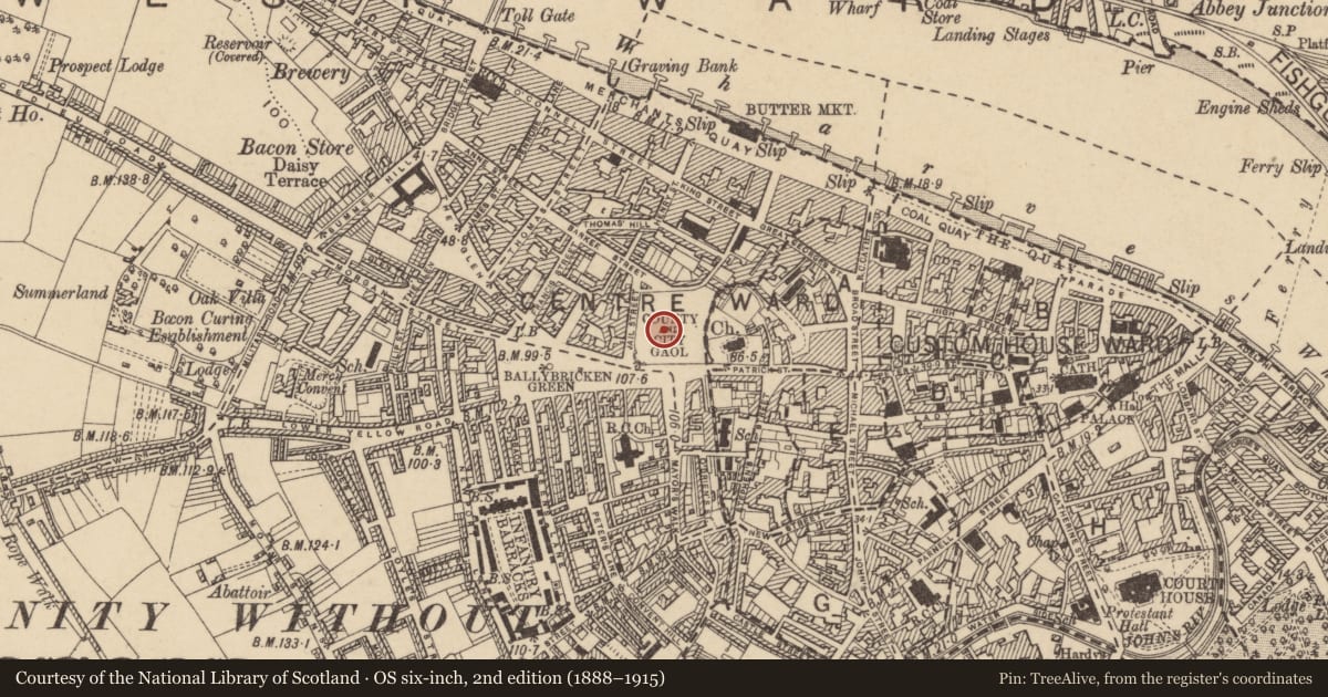 Ordnance Survey six-inch map, 2nd edition (1888–1915) covering the location of Bastioned fort, Waterford City, County Waterford, with a pin at the register's coordinates