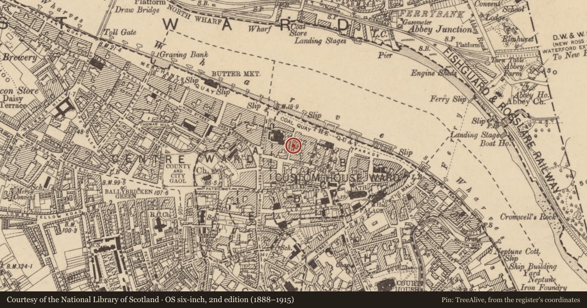 Ordnance Survey six-inch map, 2nd edition (1888–1915) covering the location of House - medieval, Waterford City, County Waterford, with a pin at the register's coordinates