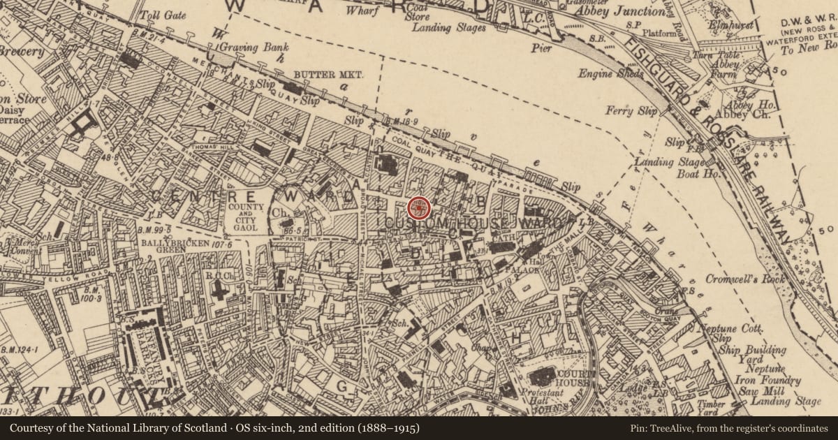 Ordnance Survey six-inch map, 2nd edition (1888–1915) covering the location of House - medieval, Waterford City, County Waterford, with a pin at the register's coordinates